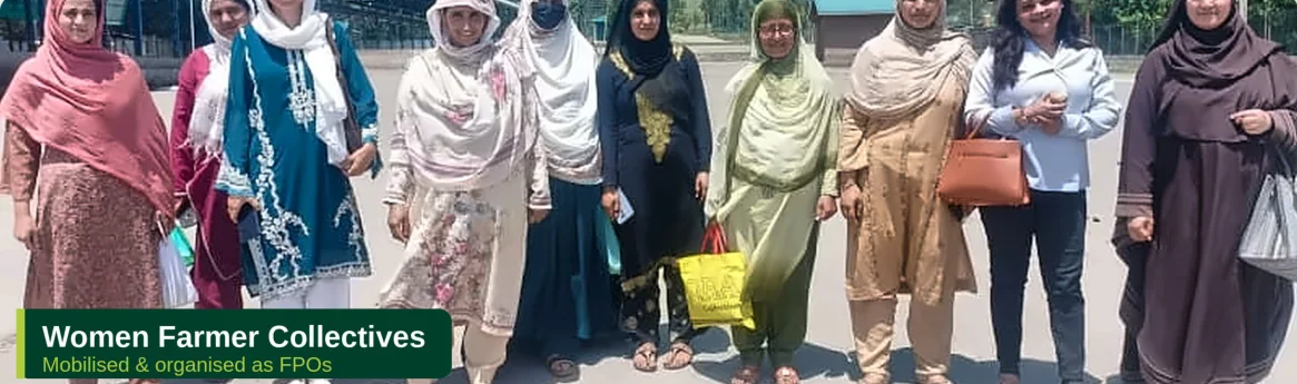 Women farmer collectives mobilised by NKB